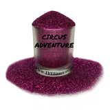 Circus Adventure Metallic Ultra Fine Glitter Sample